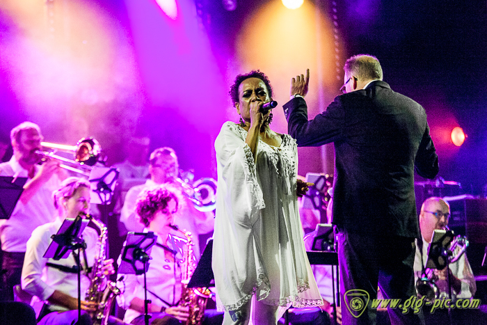 BBF_Noordkade_Festival-52