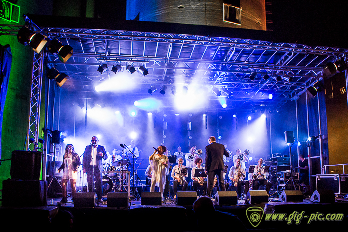 BBF_Noordkade_Festival-54