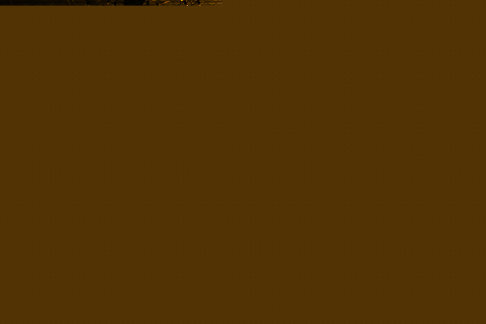 1H6A7814